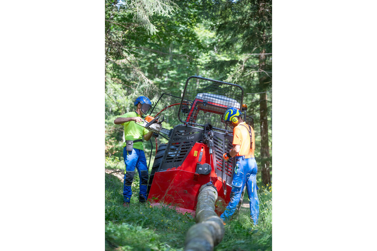 CASQUE PFANNER PROTOS FOREST